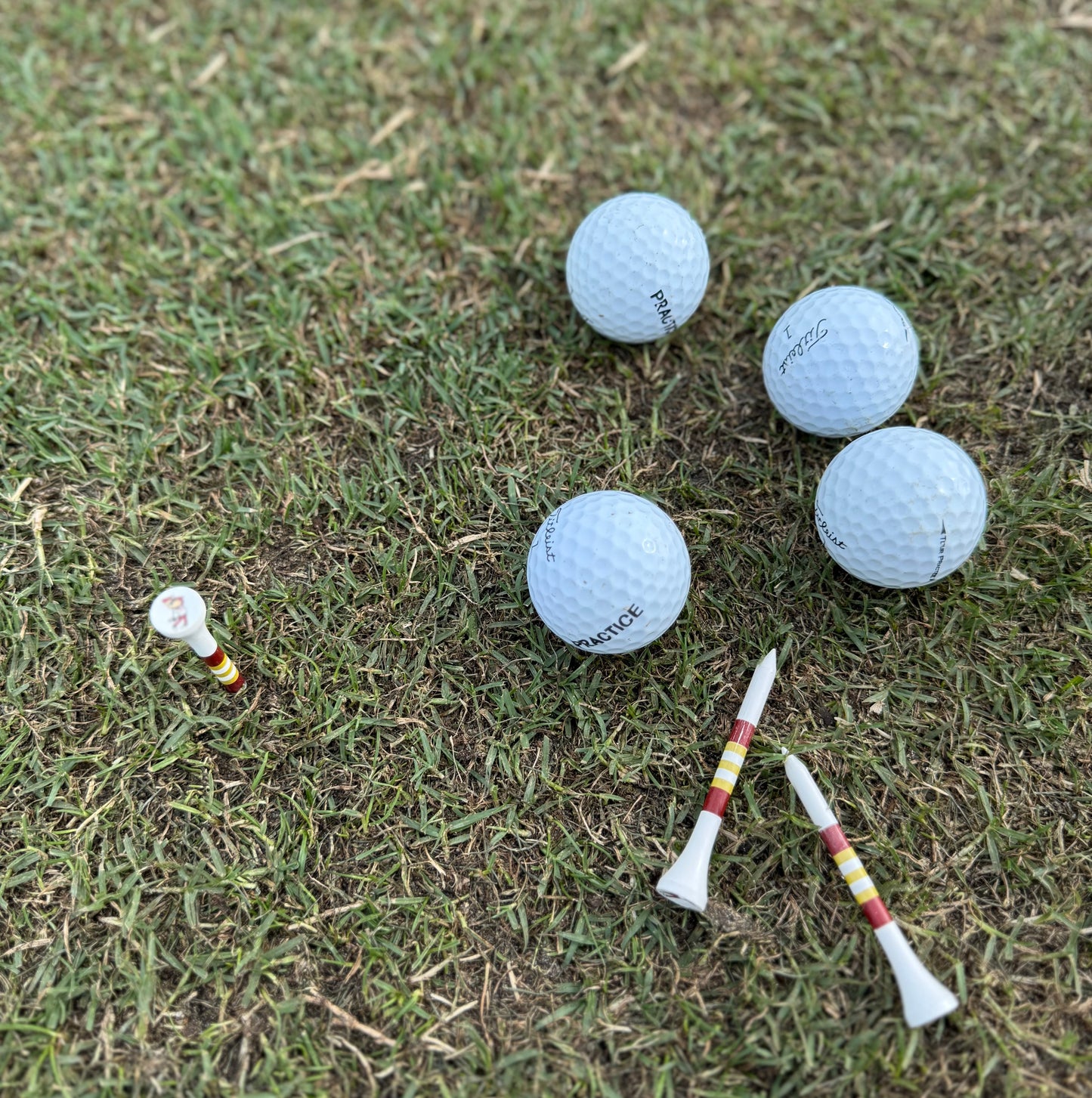 Swinging Phoenix Golf Tees by Western Birch