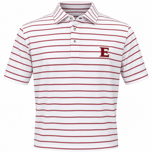 The Stitch Paddock Stripe-New Swinging Phoenix Edition