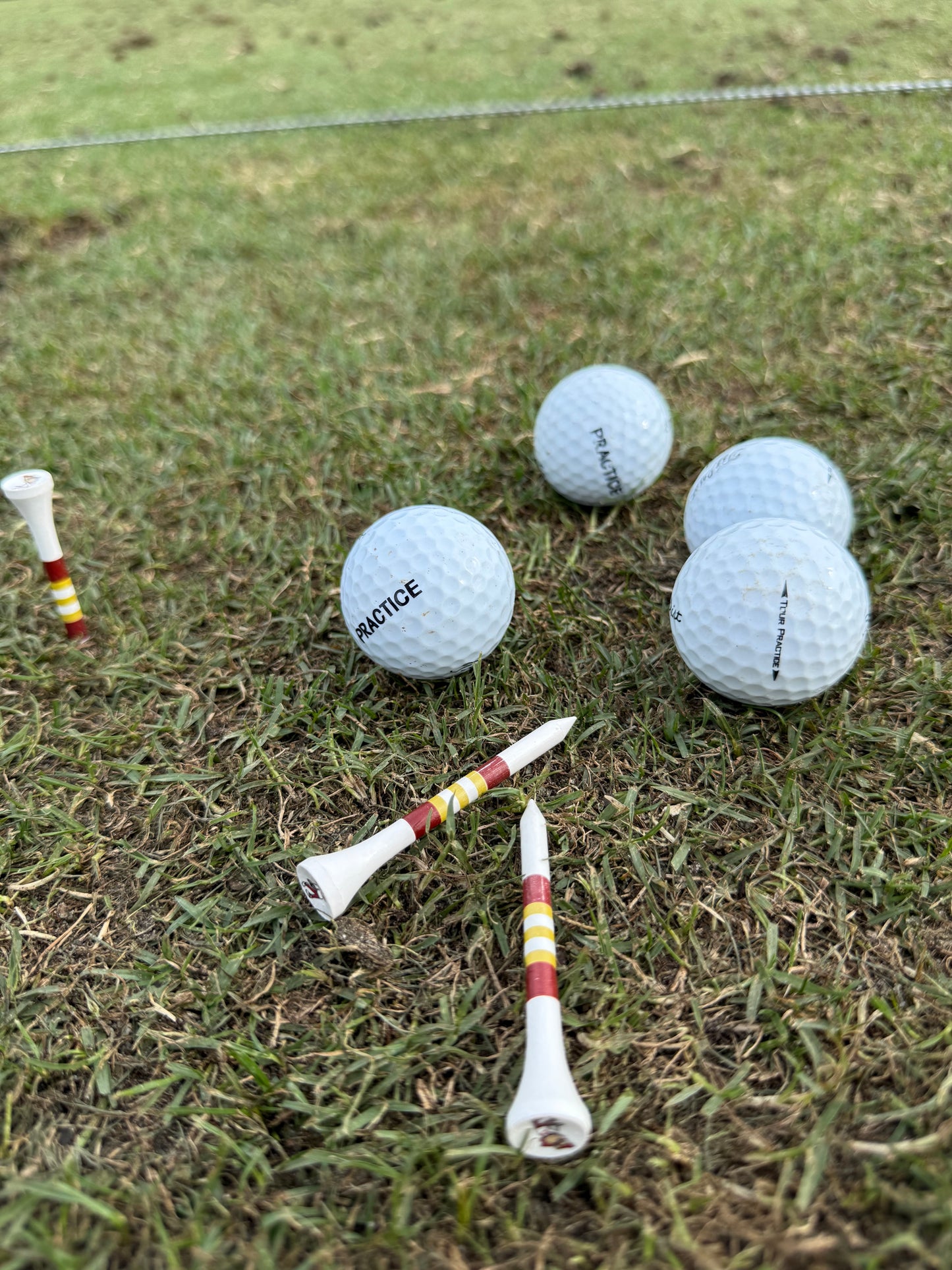 Swinging Phoenix Golf Tees by Western Birch